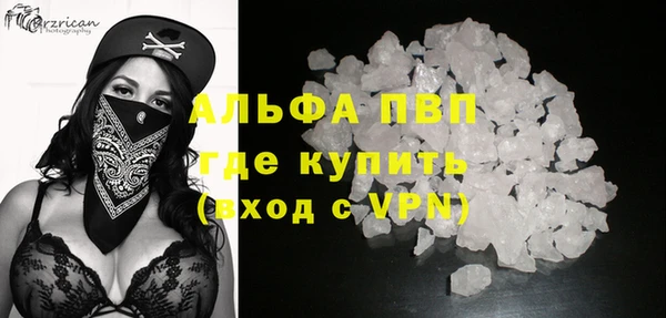 гидра Алексин