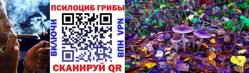 ОМГ ОМГ рабочий сайт Чегем Псилоцибиновые грибы мухоморы