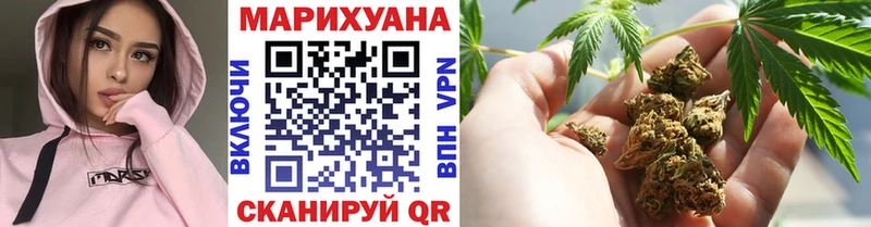 Бошки марихуана семена  продажа наркотиков  Чегем 